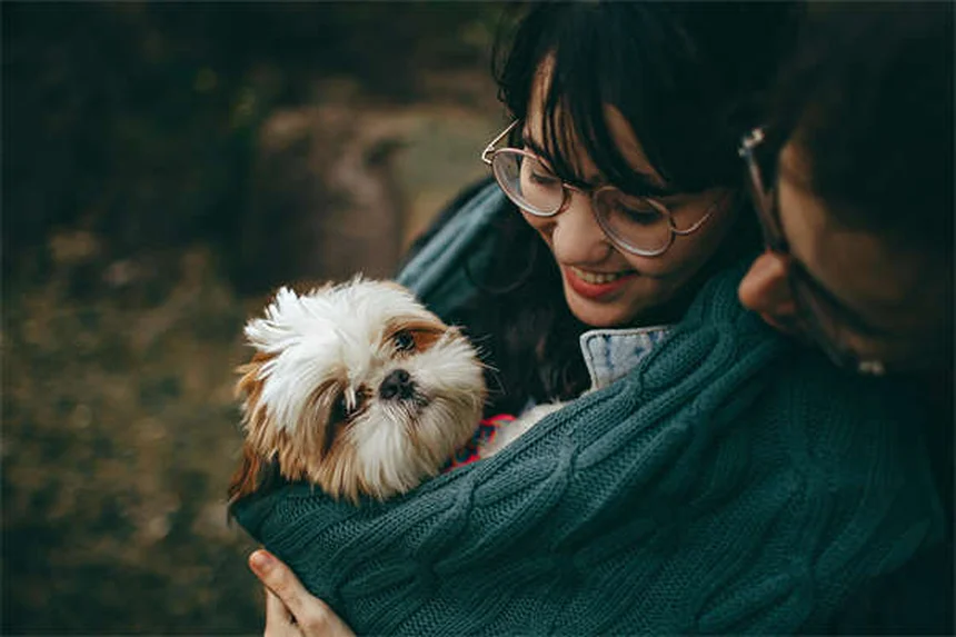 Rabbit Hematuria: 5 Warning Signs Your Bunny Needs Help